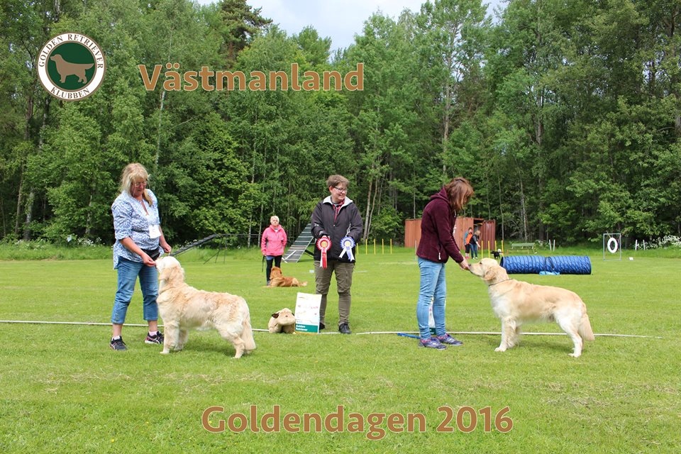 goldendagen_2016_vu_ BIS